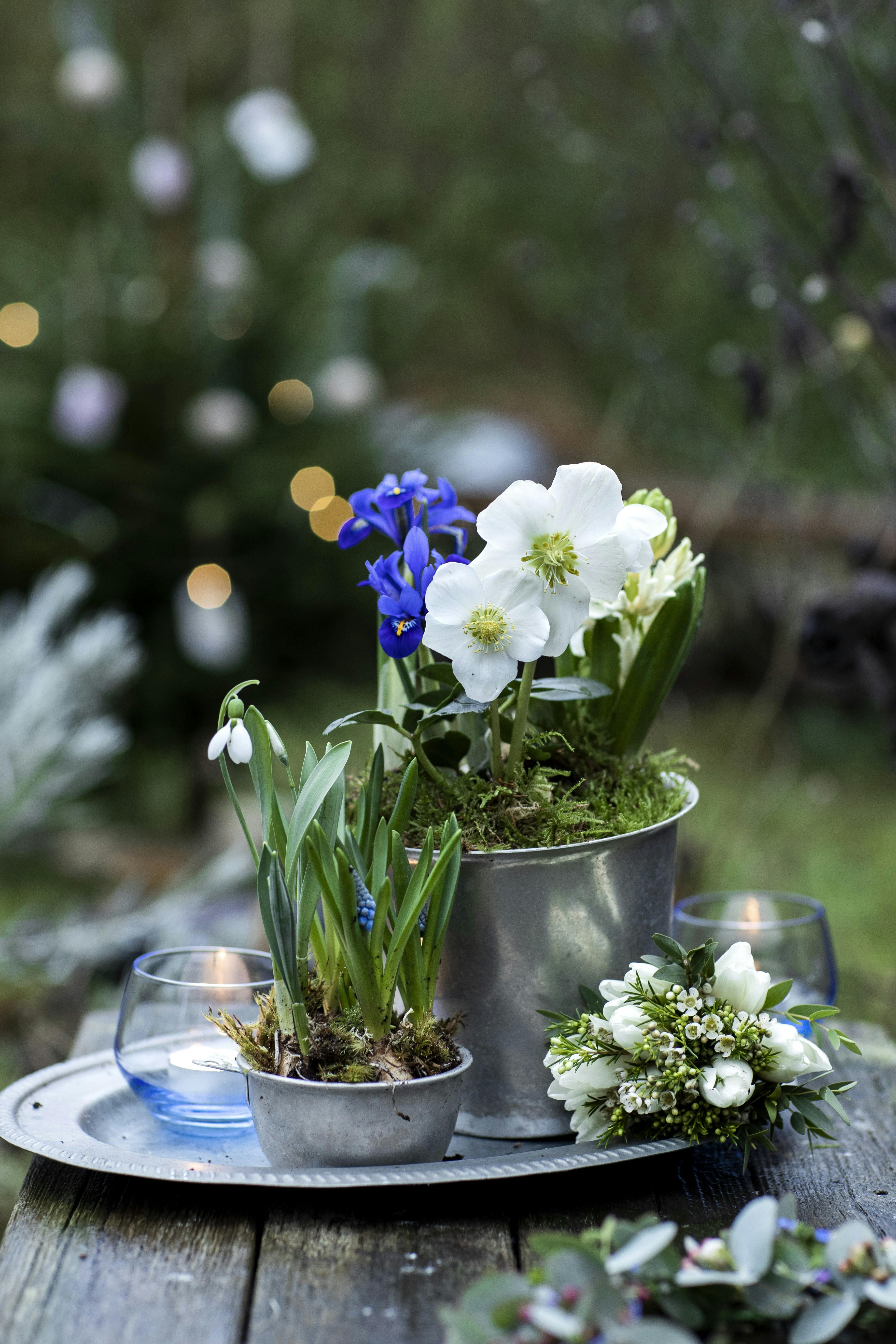 Tableau med blomster og lys