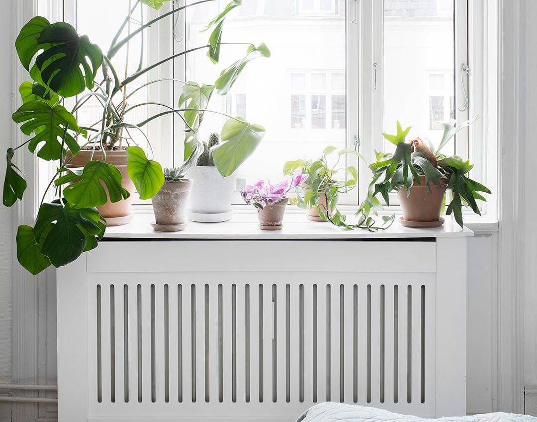 Radiator med radiatorskjuler