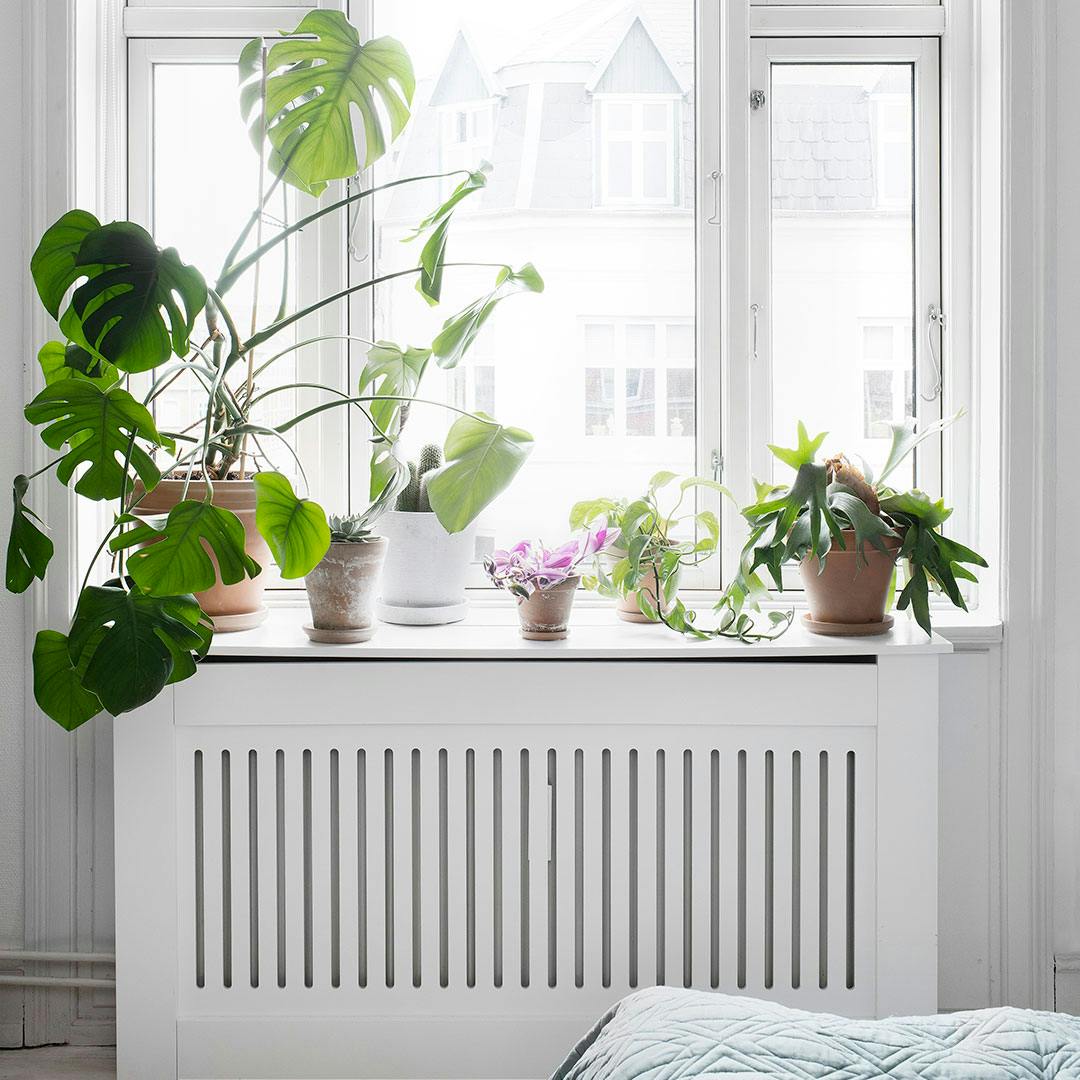 https://imgix.isabellas.dk/2022-03-07/rengoringradiator.jpg