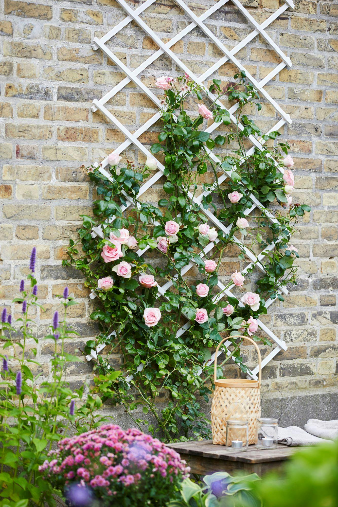 DIY plantestativ/espalier i træ med blomster