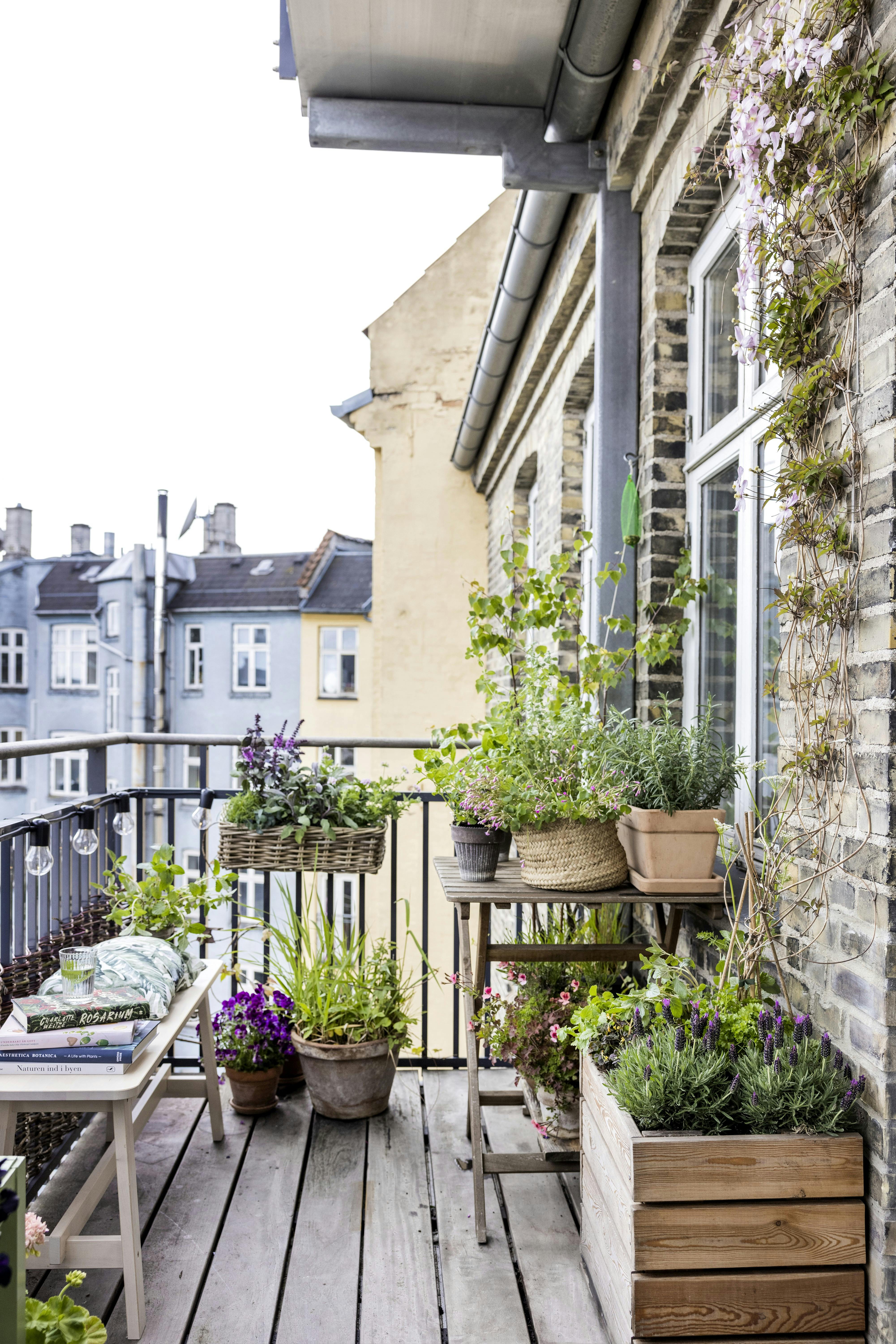 krydderurter på altan