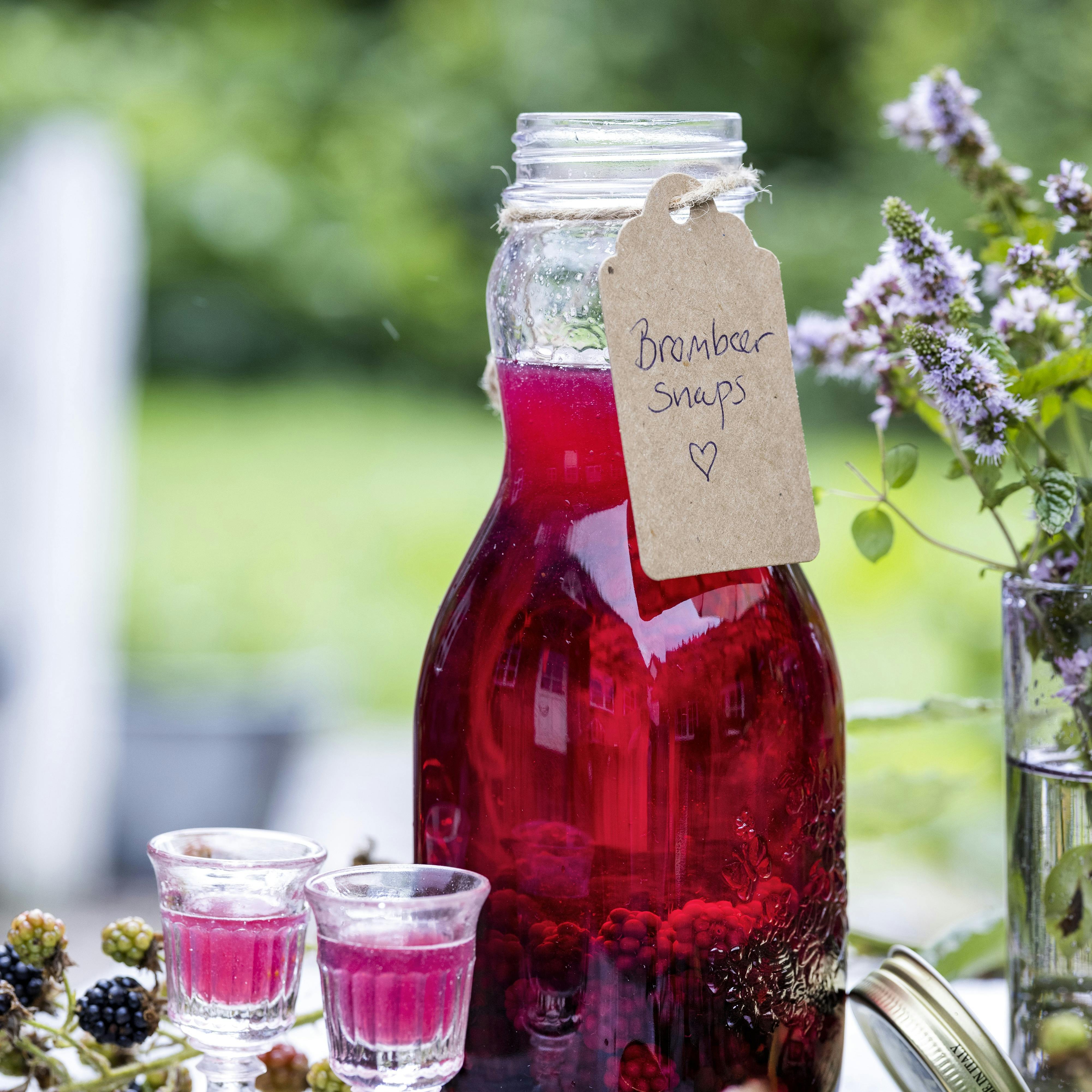 du vil blive overrasket over, hvor nemt det egentlig er at lave brombærsnaps.