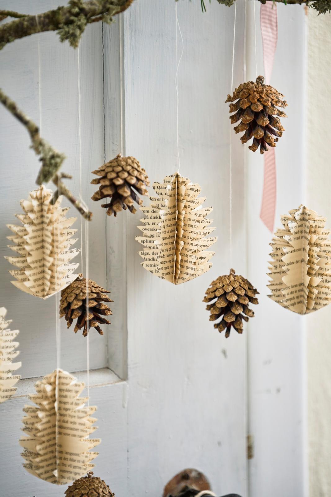 Ranke af kogler fra naturen