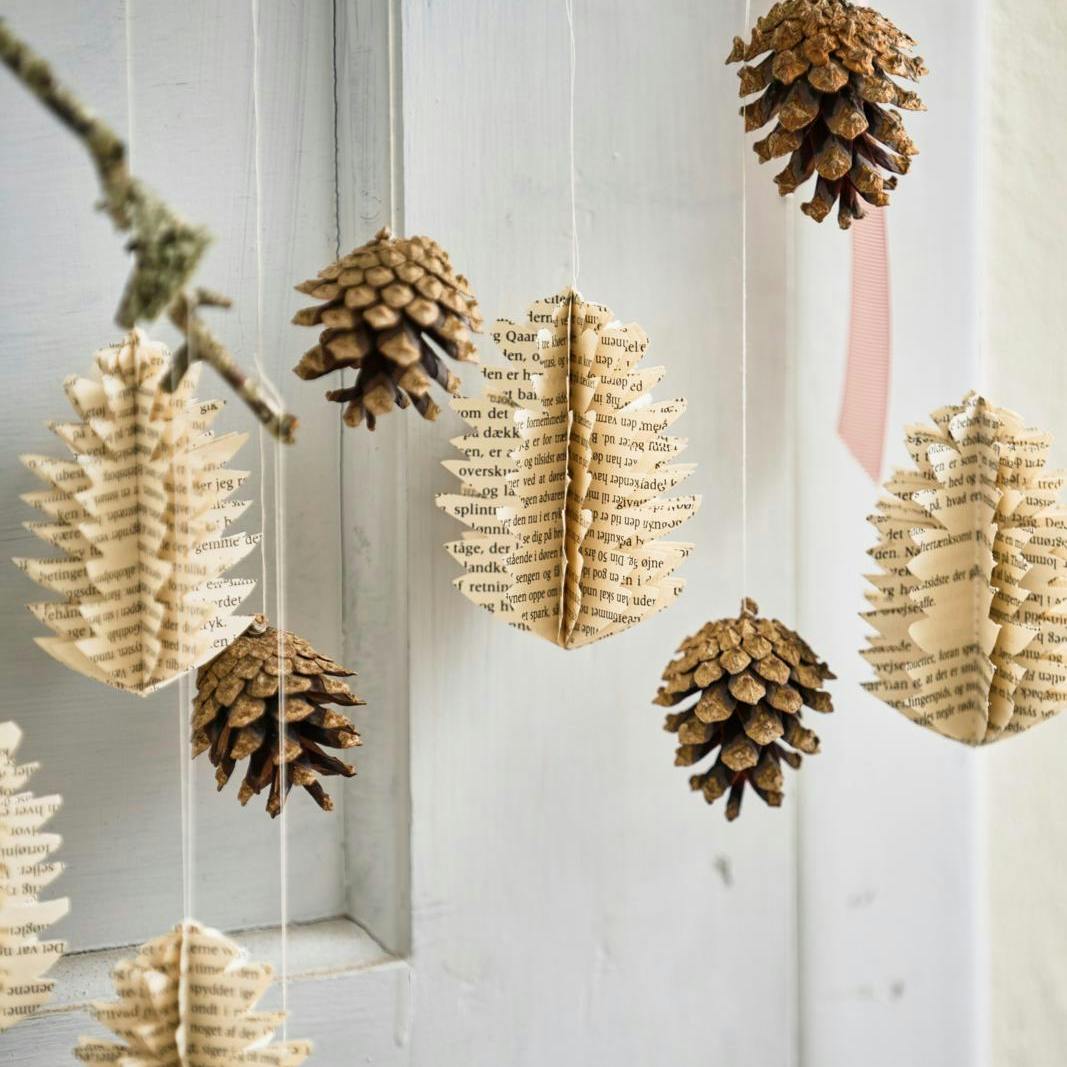 Ranke af kogler fra naturen