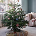 Genbrug dit gamle juletræ