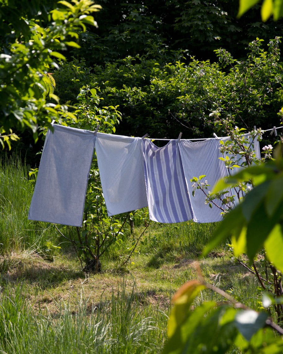 Vasketøj på tørresnor i haven