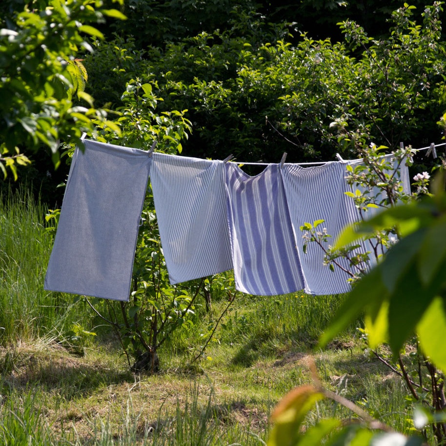 Vasketøj på tørresnor i haven