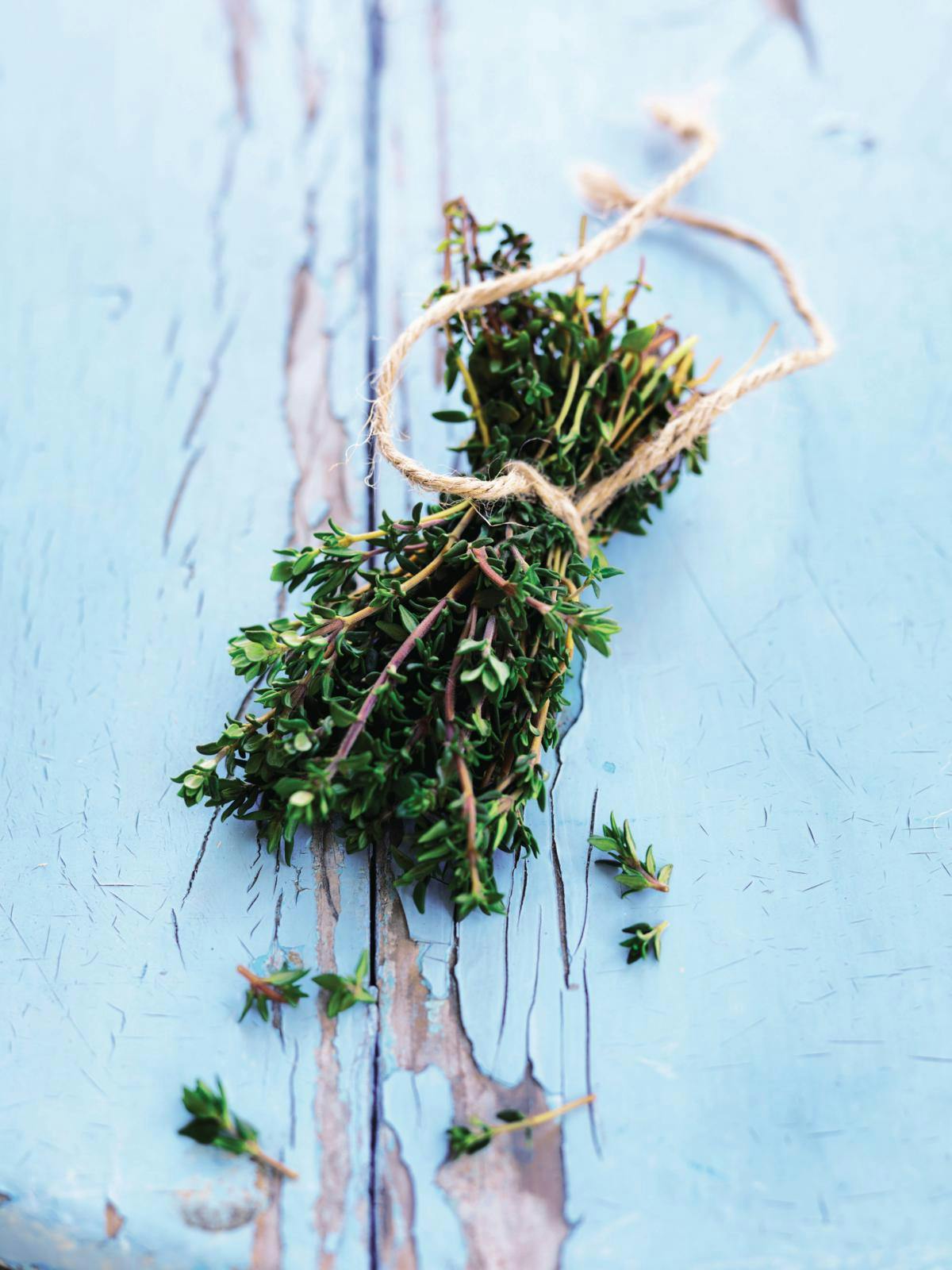 Et bundt tørret timian