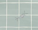 Illustration af en sølvfisk på badeværelse/flisegulv