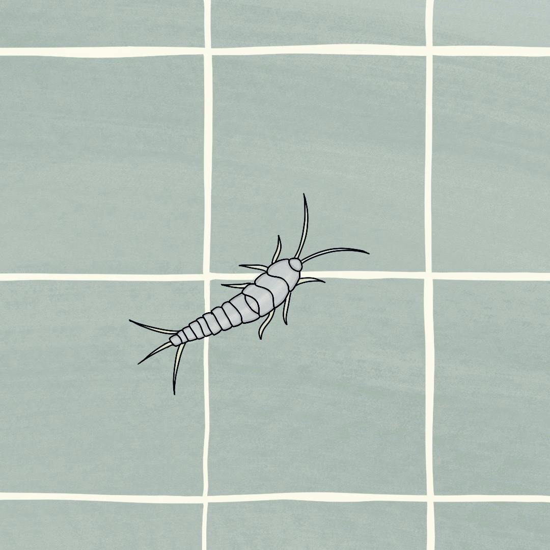 Illustration af en sølvfisk på badeværelse/flisegulv