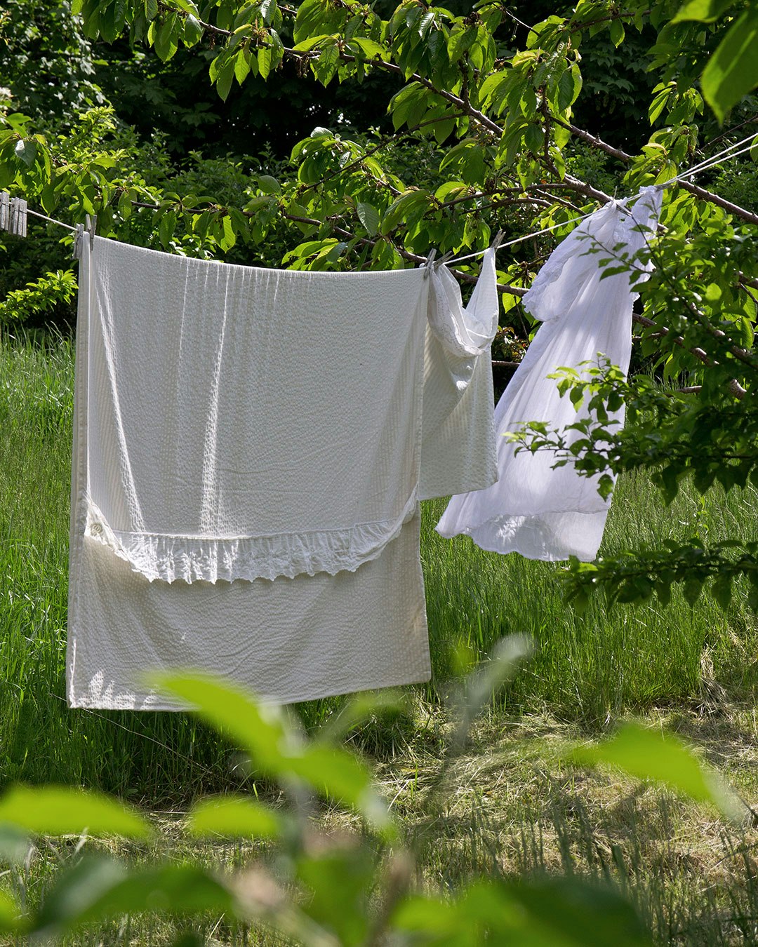 Strøget vasketøj på tørresnor i have