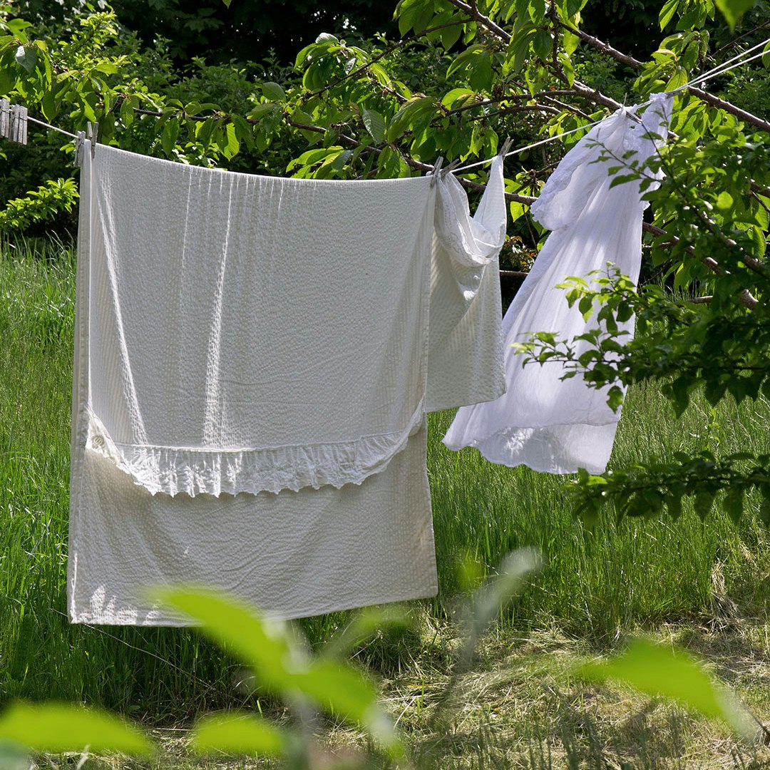 Strøget vasketøj på tørresnor i have
