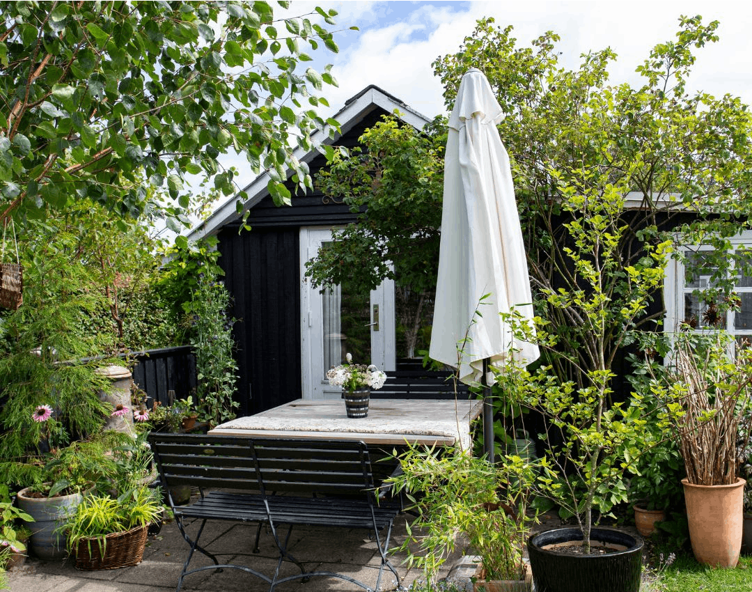 Tørketålende planter