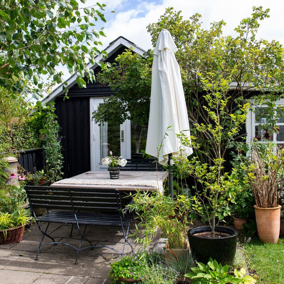 https://imgix.isabellas.dk/2023-06-27/torketalende_planter_i_haven.jpg