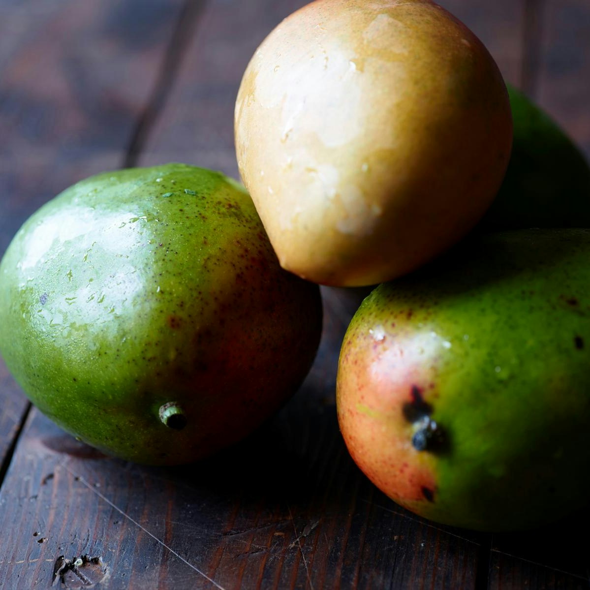 Modne mangoer