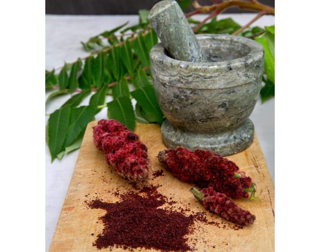 Det røde krydderi sumak lavet af frugtstande fra hjortetaktræet