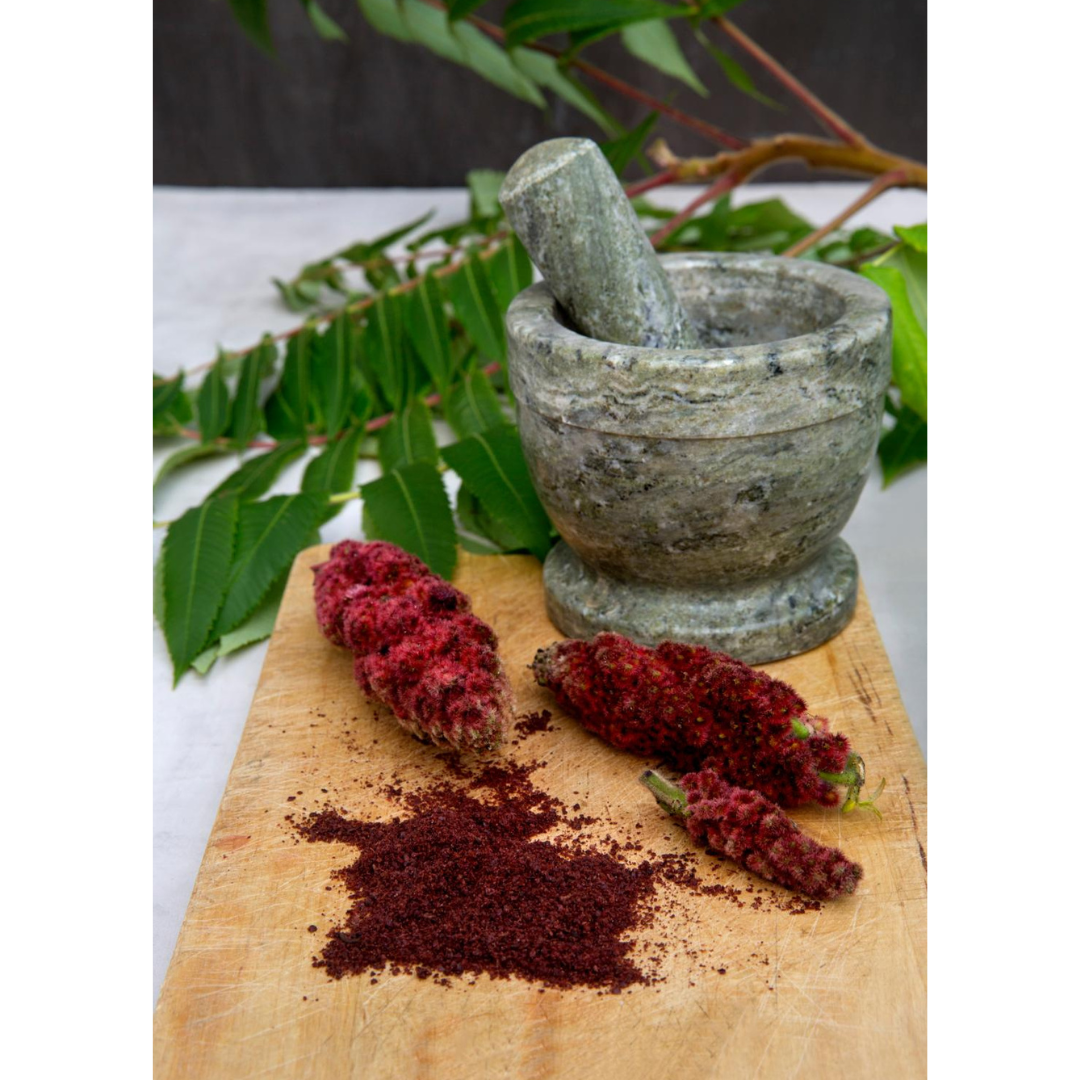 Det røde krydderi sumak lavet af frugtstande fra hjortetaktræet