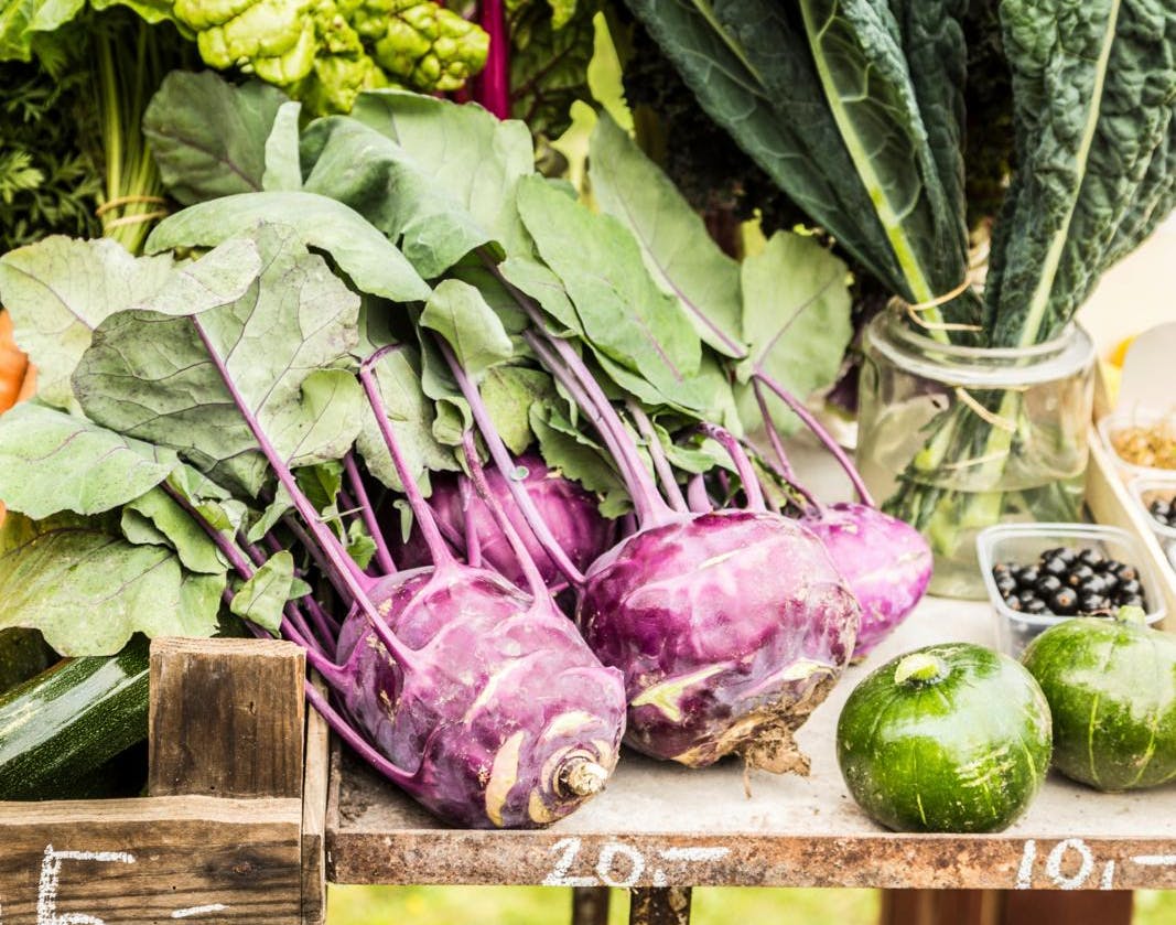 Friske grøntsager fra bæredygtigt indkøb