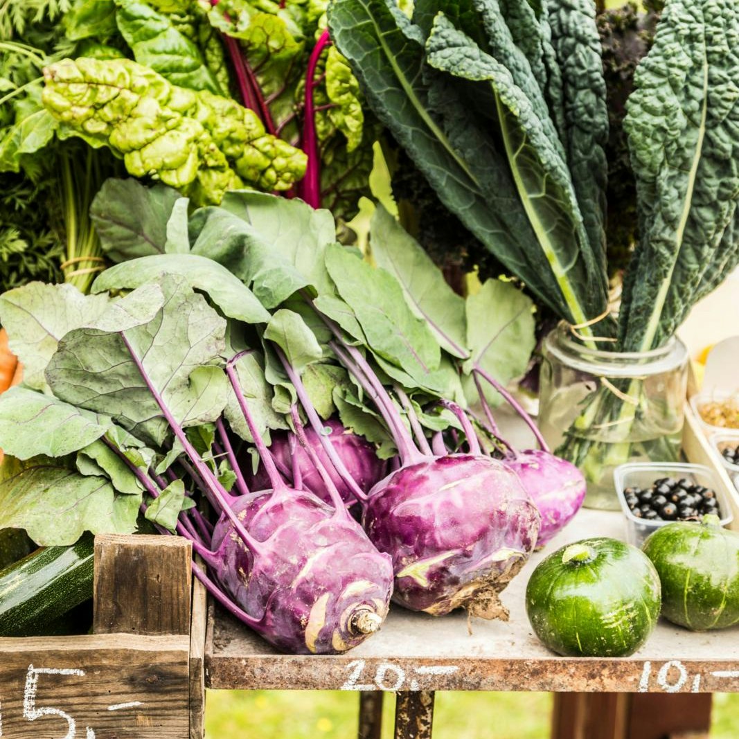 Friske grøntsager fra bæredygtigt indkøb