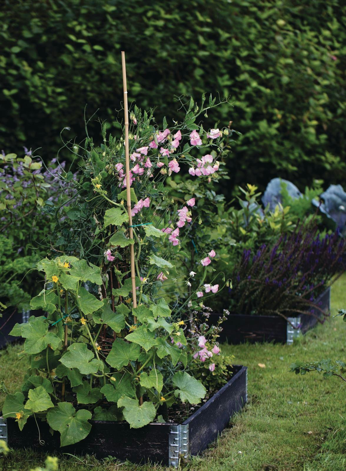 Højbede med blomster i 