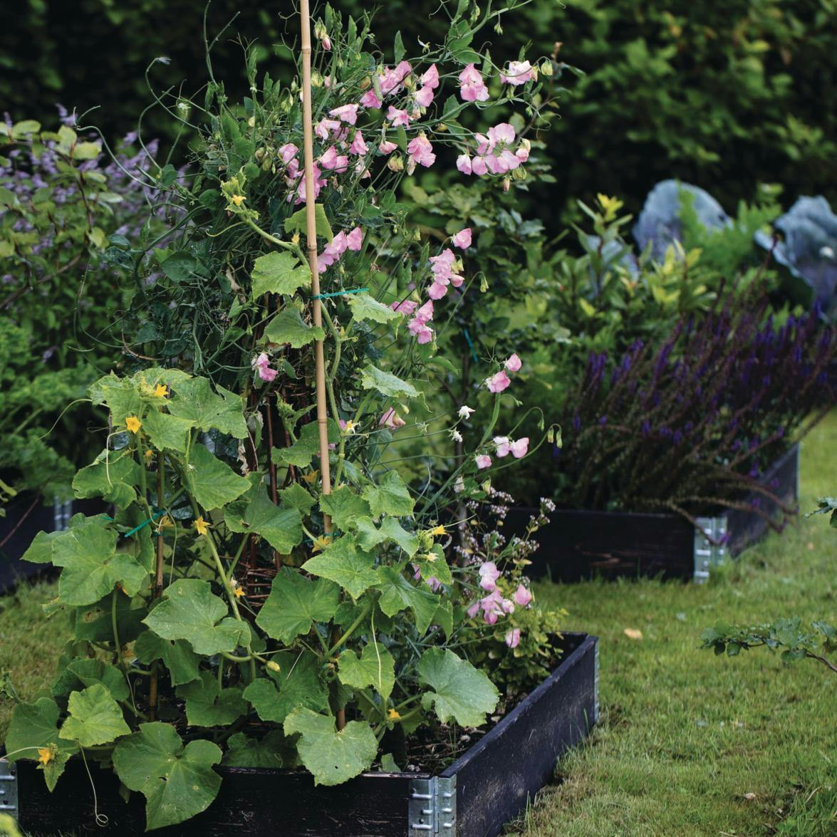 Højbede med pallerammer