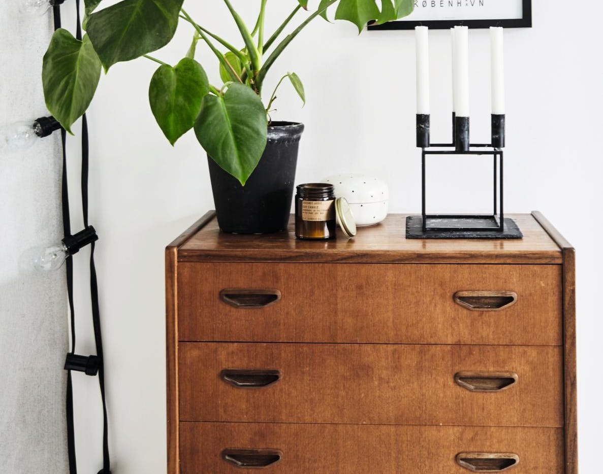 Monsterplante på kommode