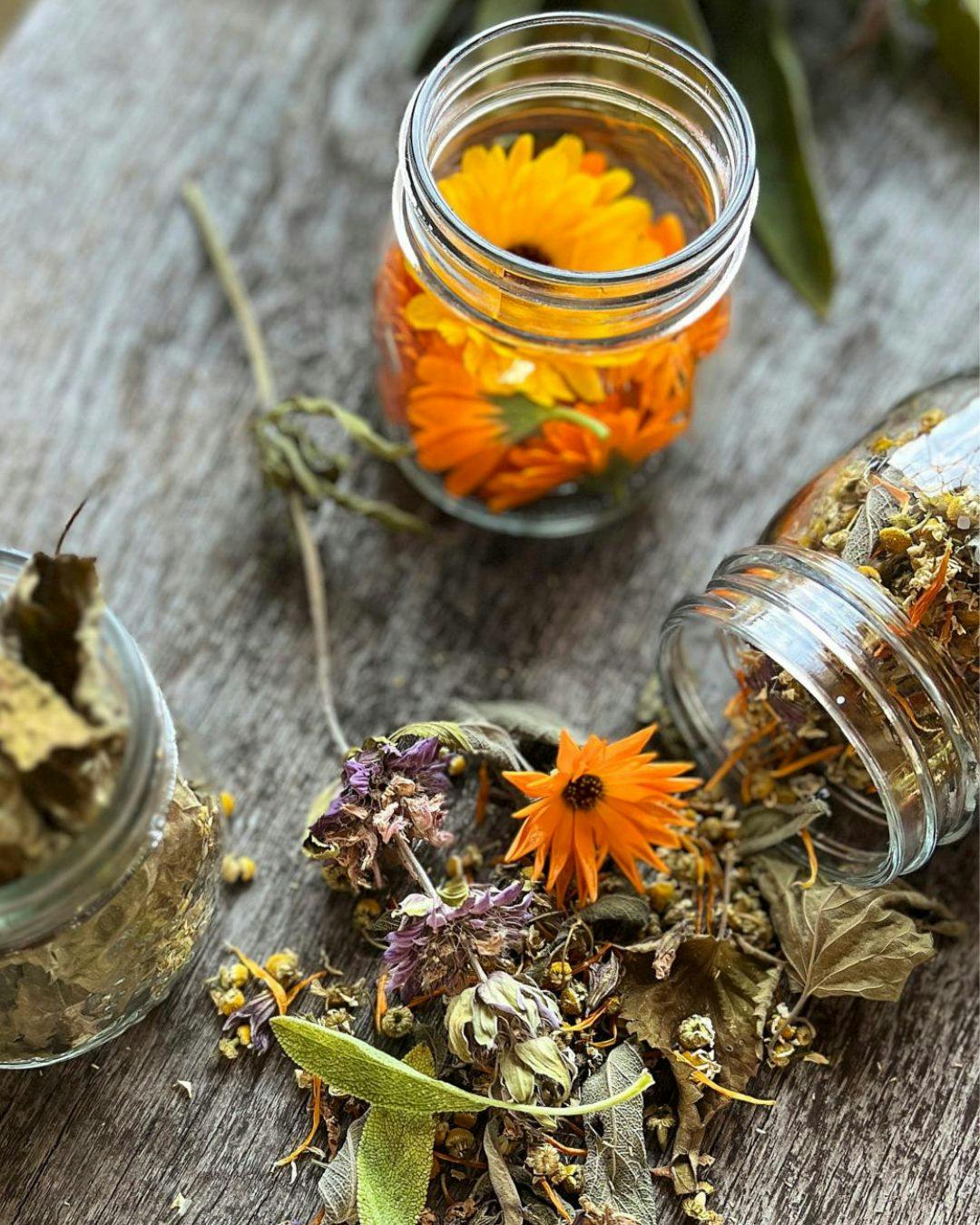 En temaboks med urter