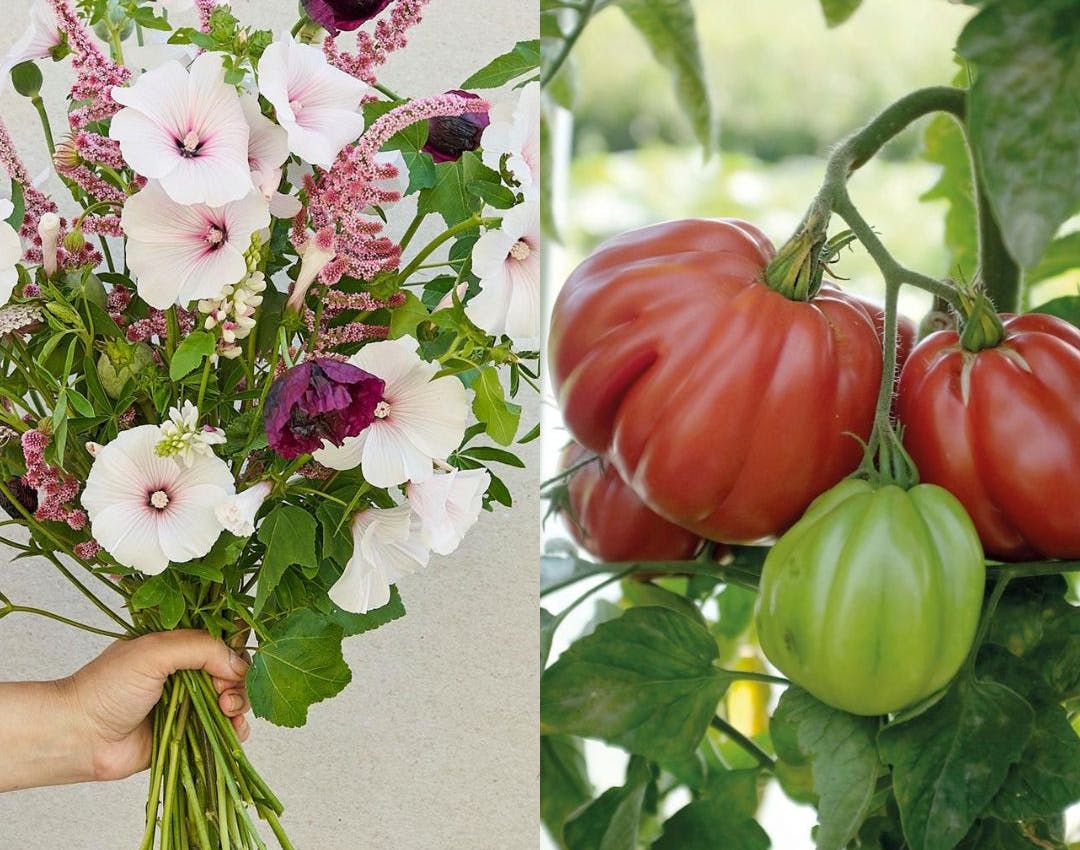 Tendenser i haven 2025: Inspirerende nyt til haveelskeren