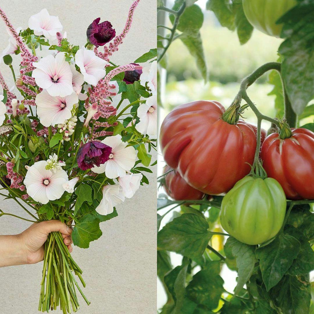 Tendenser i haven 2025: Inspirerende nyt til haveelskeren