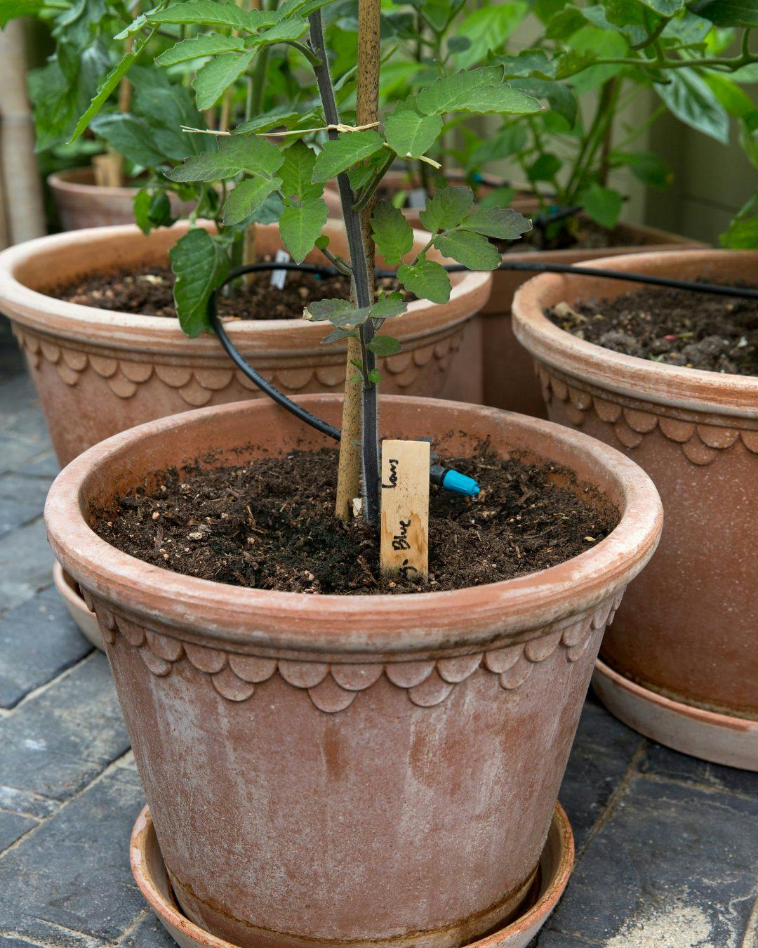 brug-driv-huset-året-rundt