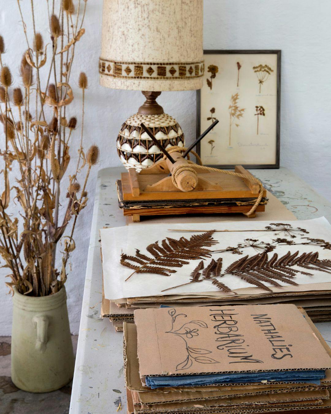 botaniske-skatte-billeder-plantetryk