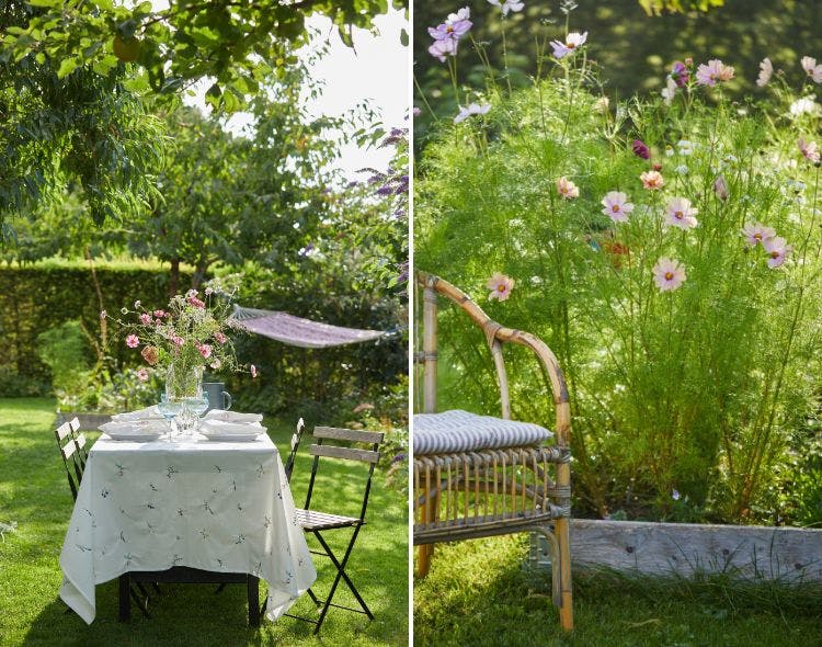 forside-derfor-skal-du-plante-stolt-kavaler