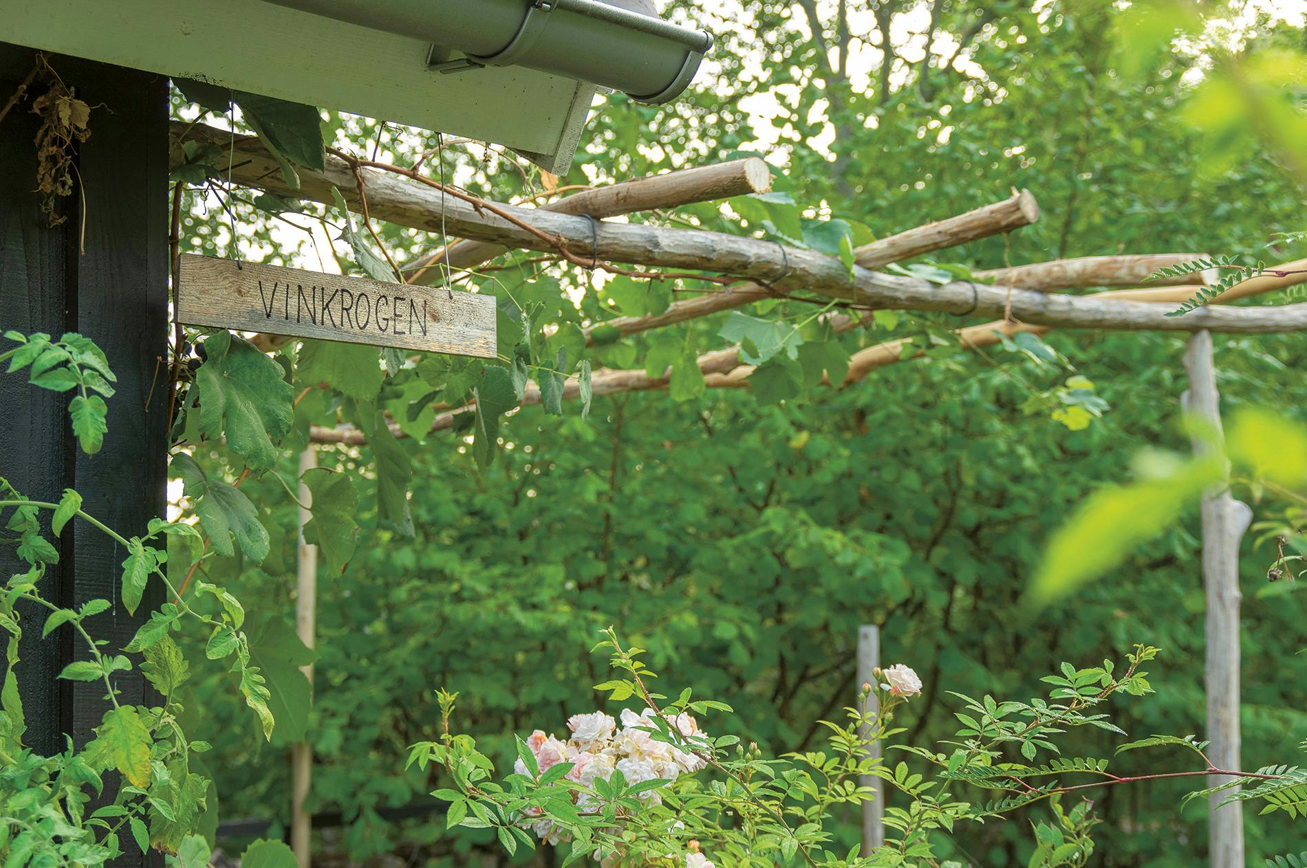 Gør det selv-pergola til haven.