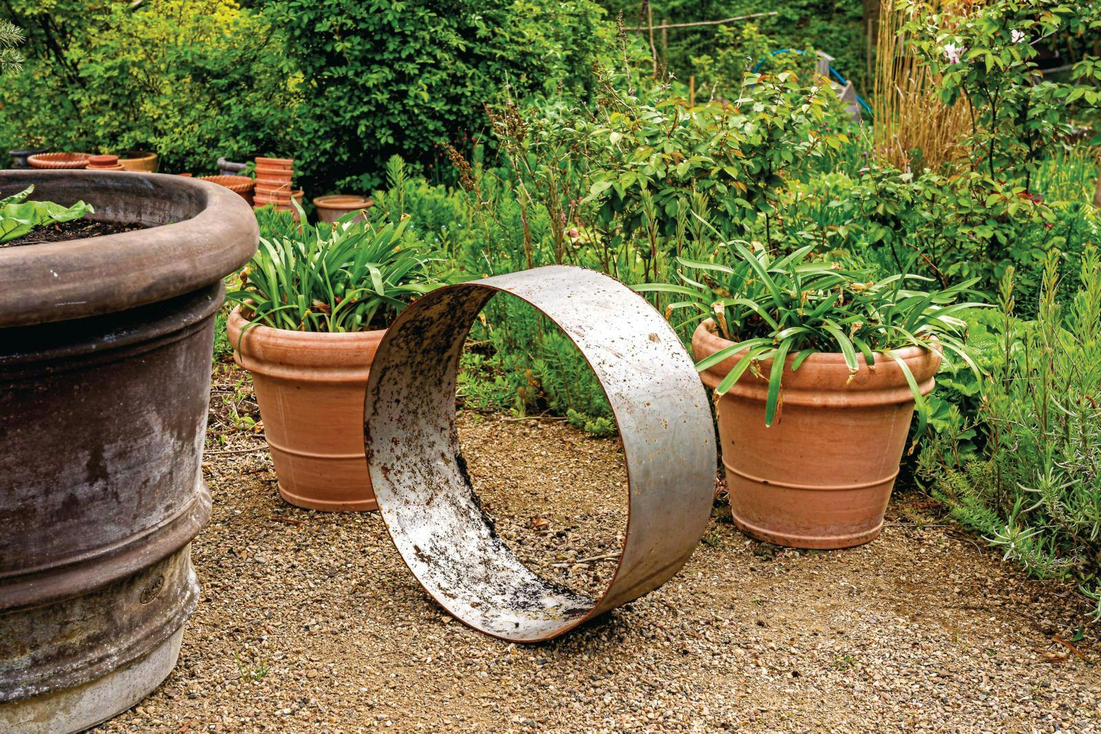 Vælg et godt sted til dit krydderurtebed.