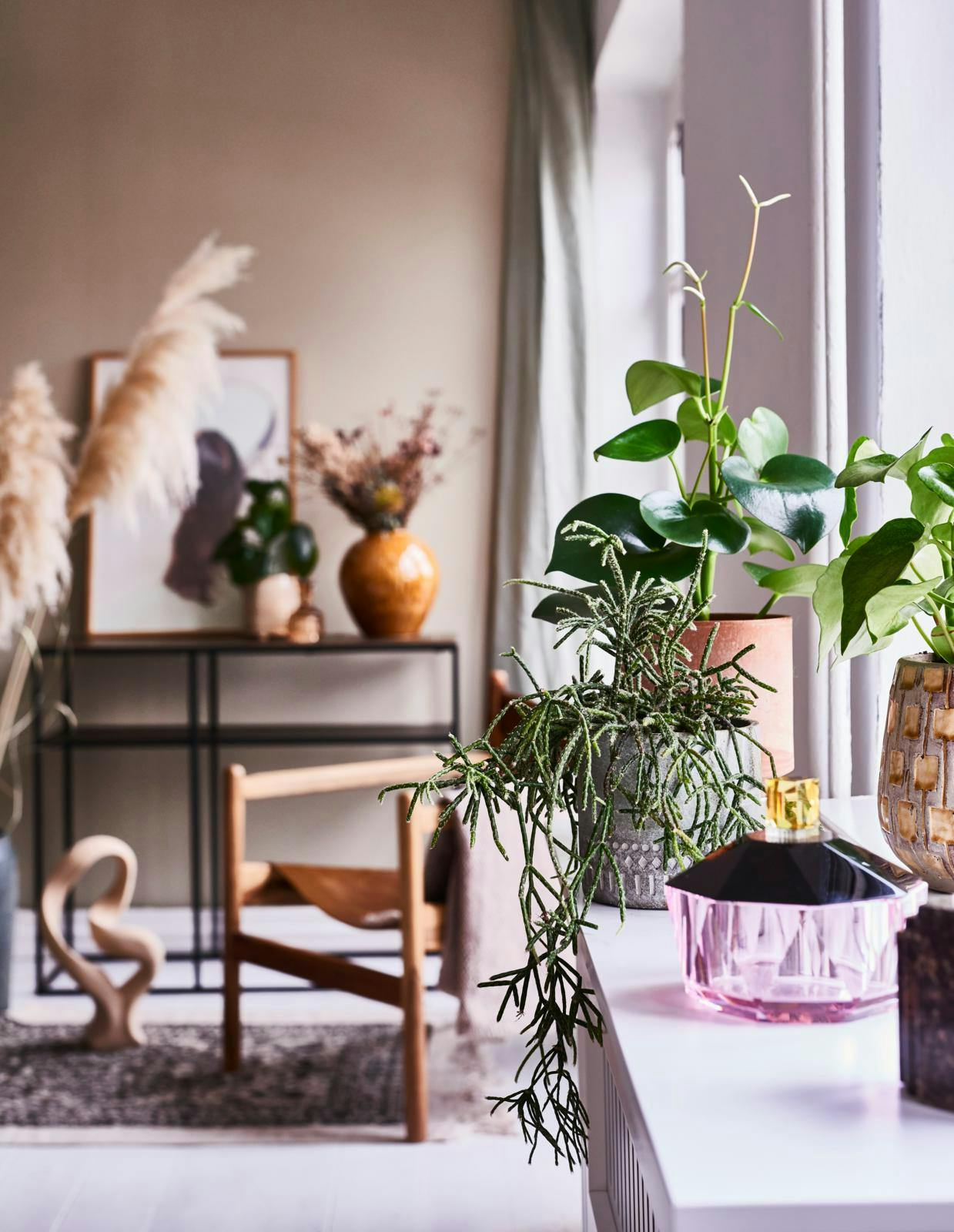 Indret vindueskarmen med fine radiatorplanter.