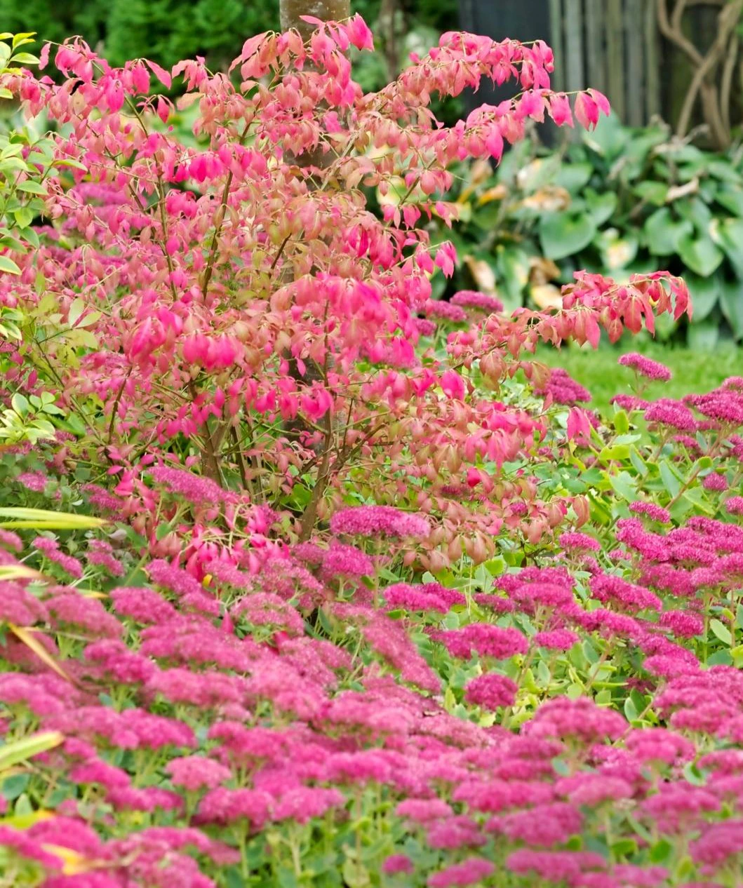 Inspiration: Planter med efterårsfarver | ISABELLAS