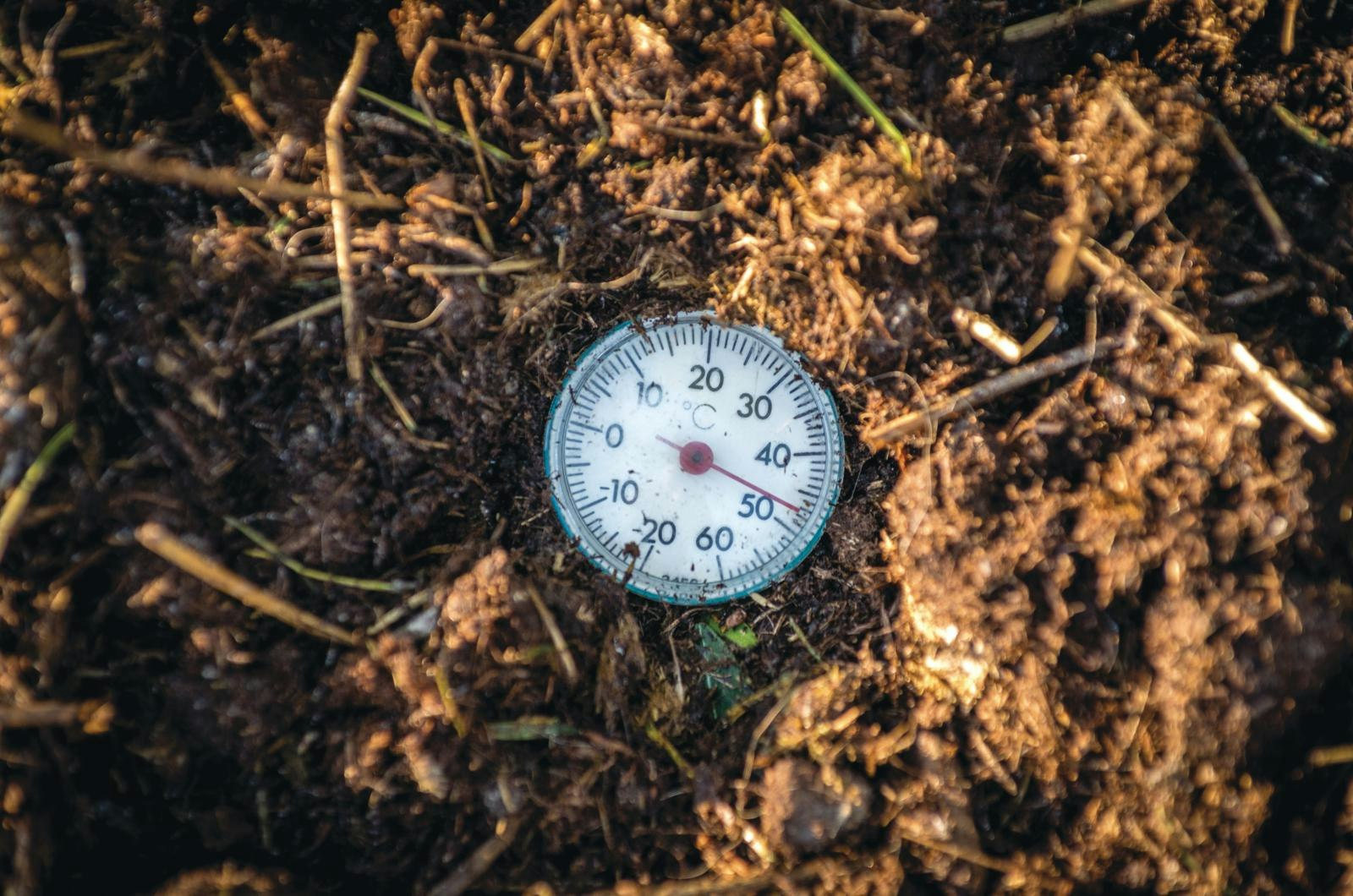 Et jordtermometer kan bruges til flere ting i haven.
