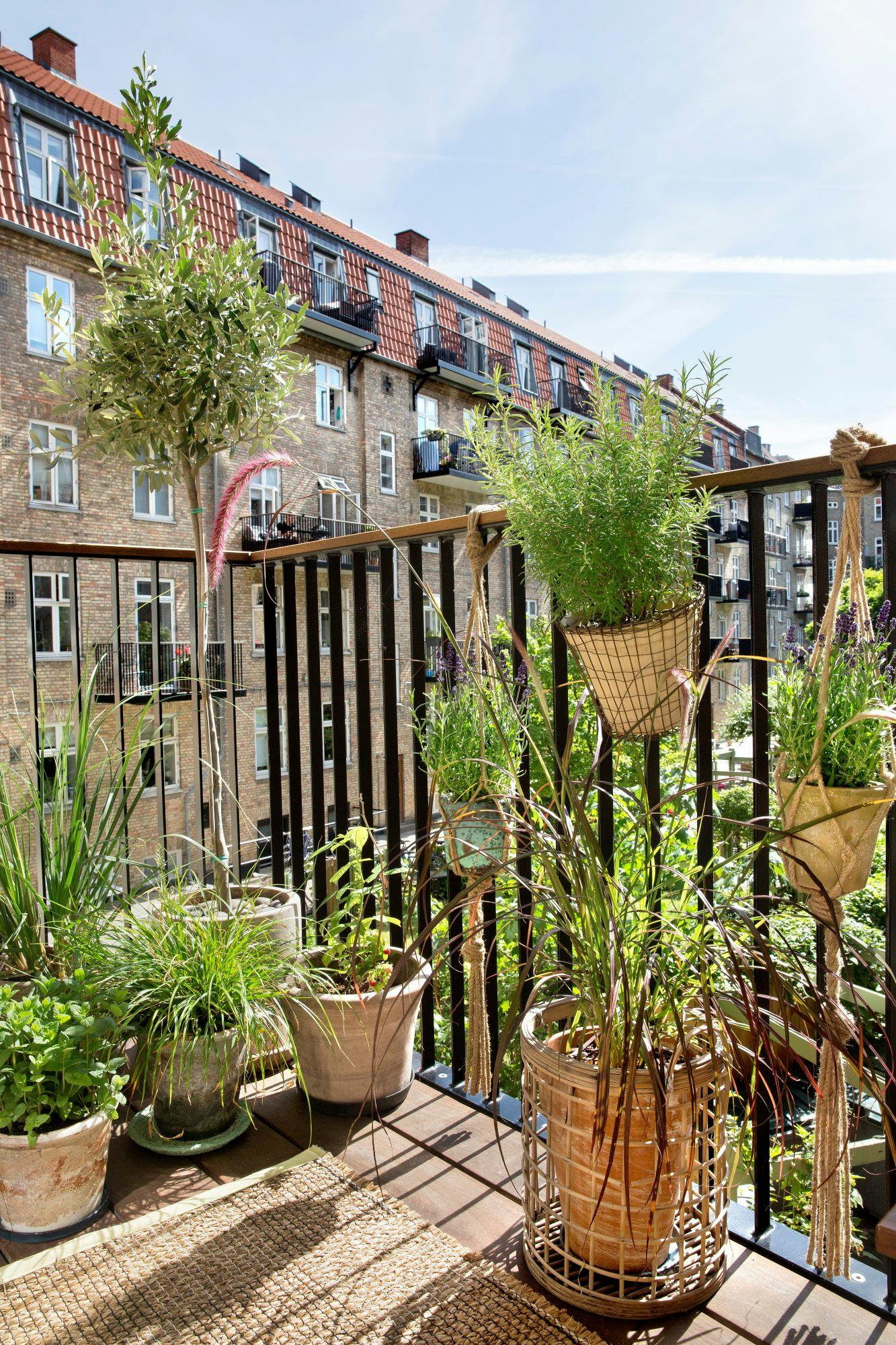 Krydderurter på altanen