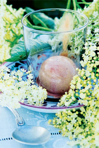 Kakaosorbet med hyldeblomst