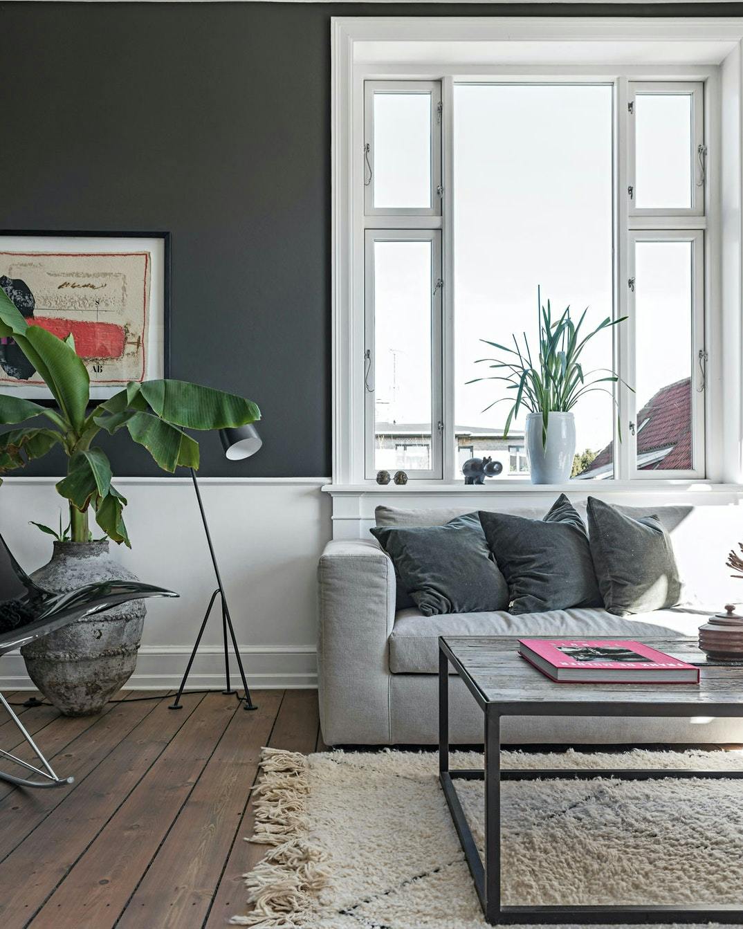 groenne_planter_i_stuen_-_bananpalme