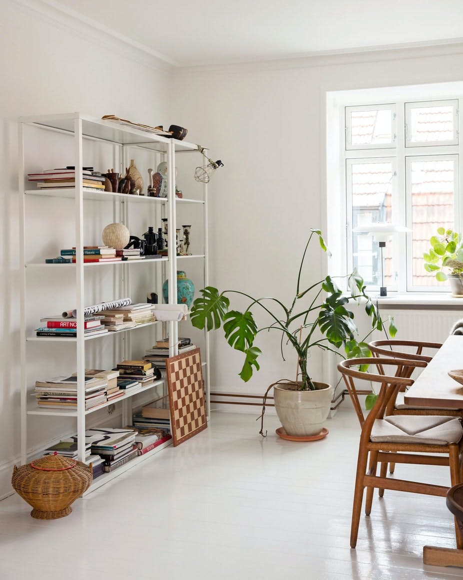 groenne_planter_i_stuen_-_monstera