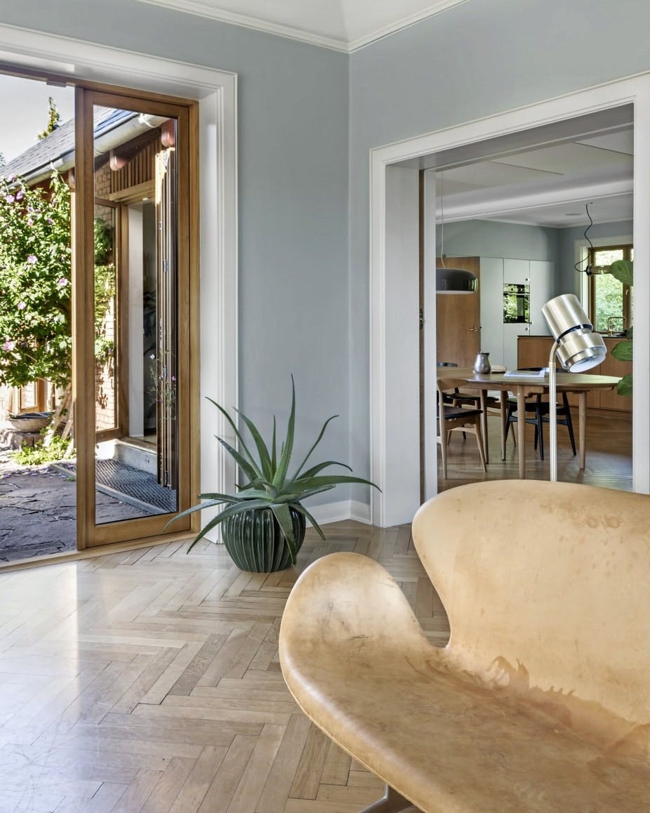 groenne_planter_til_stuen_-_aloe_vera