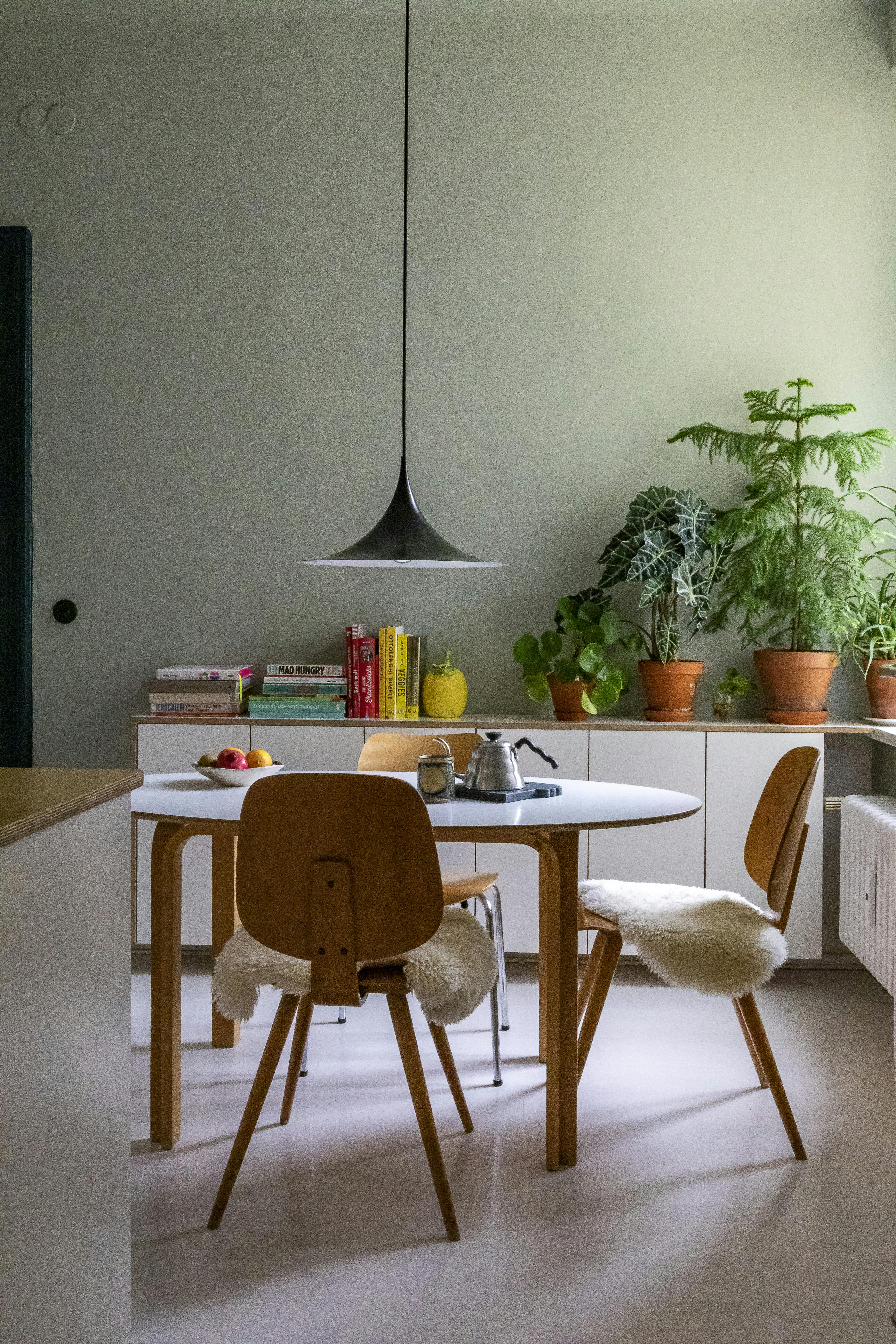 Grønt køkken med malet væg og planter