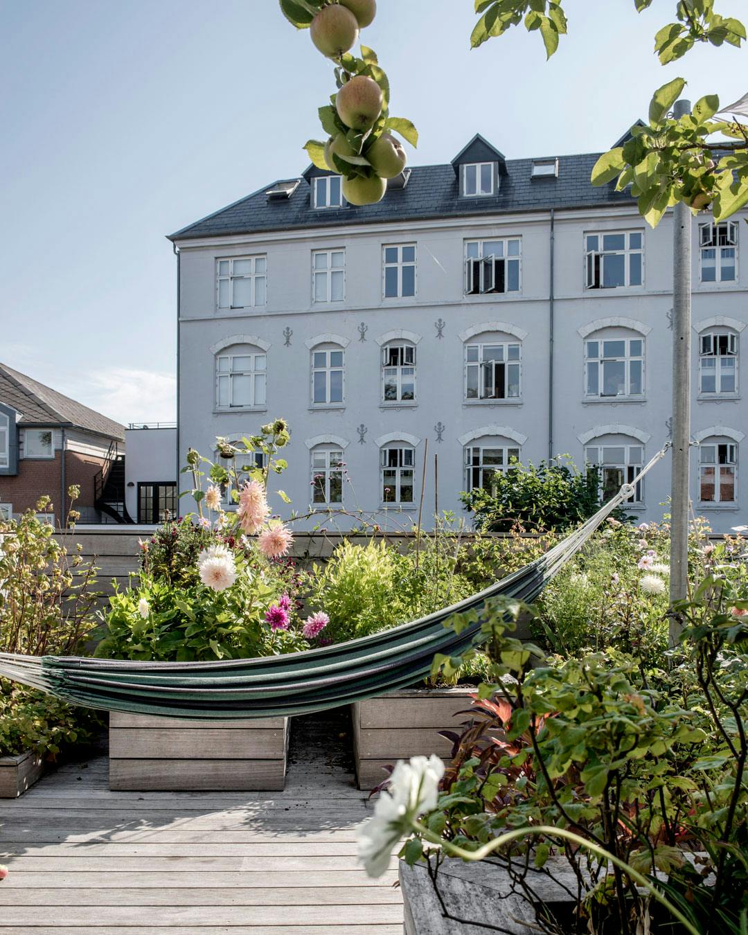 haven_paa_taget_haengekoeje_tagterrasse