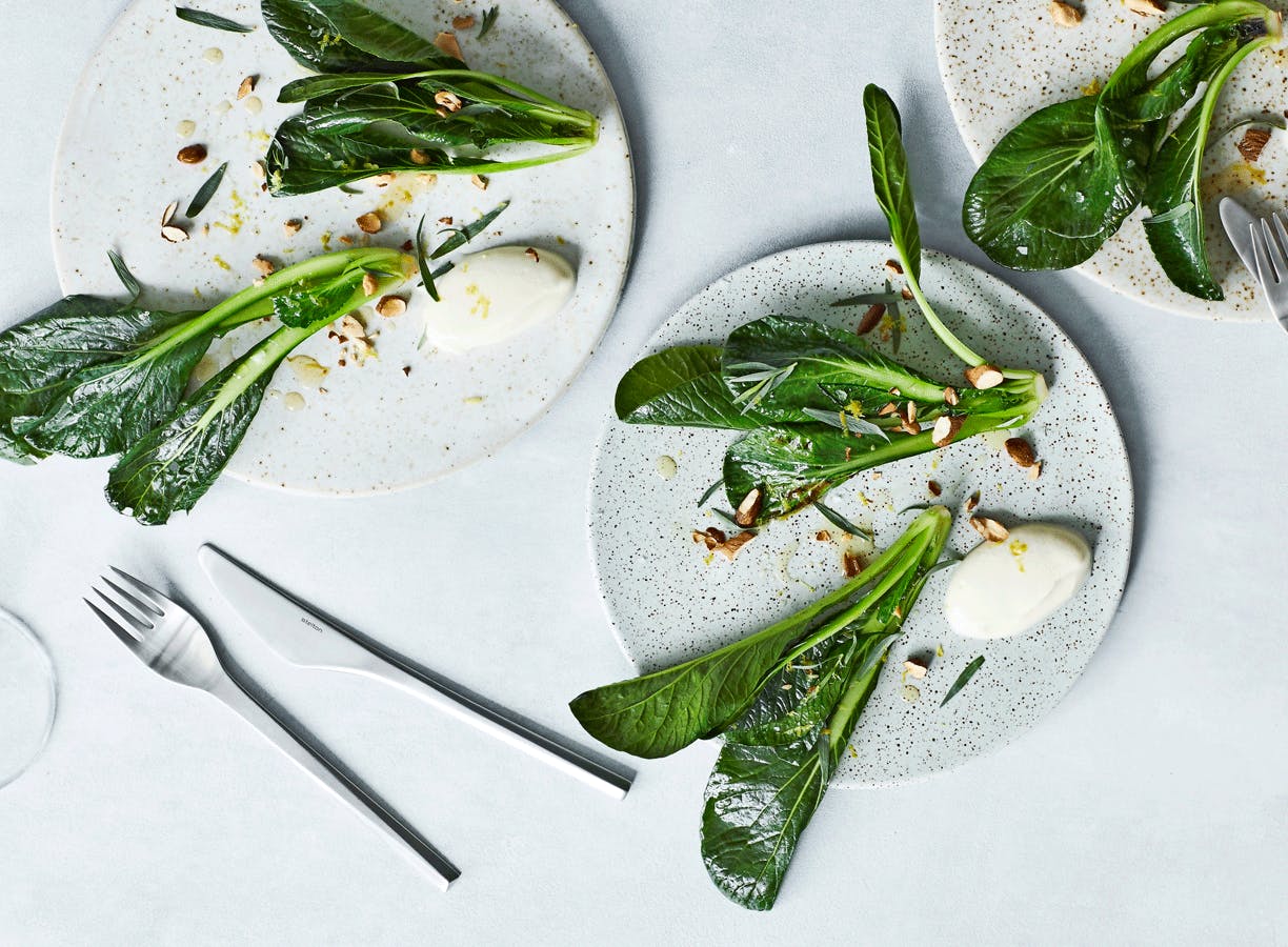 Gæstemenu: Forårsretter med spæd pak choy, glaskål og de allerførste rabarber.