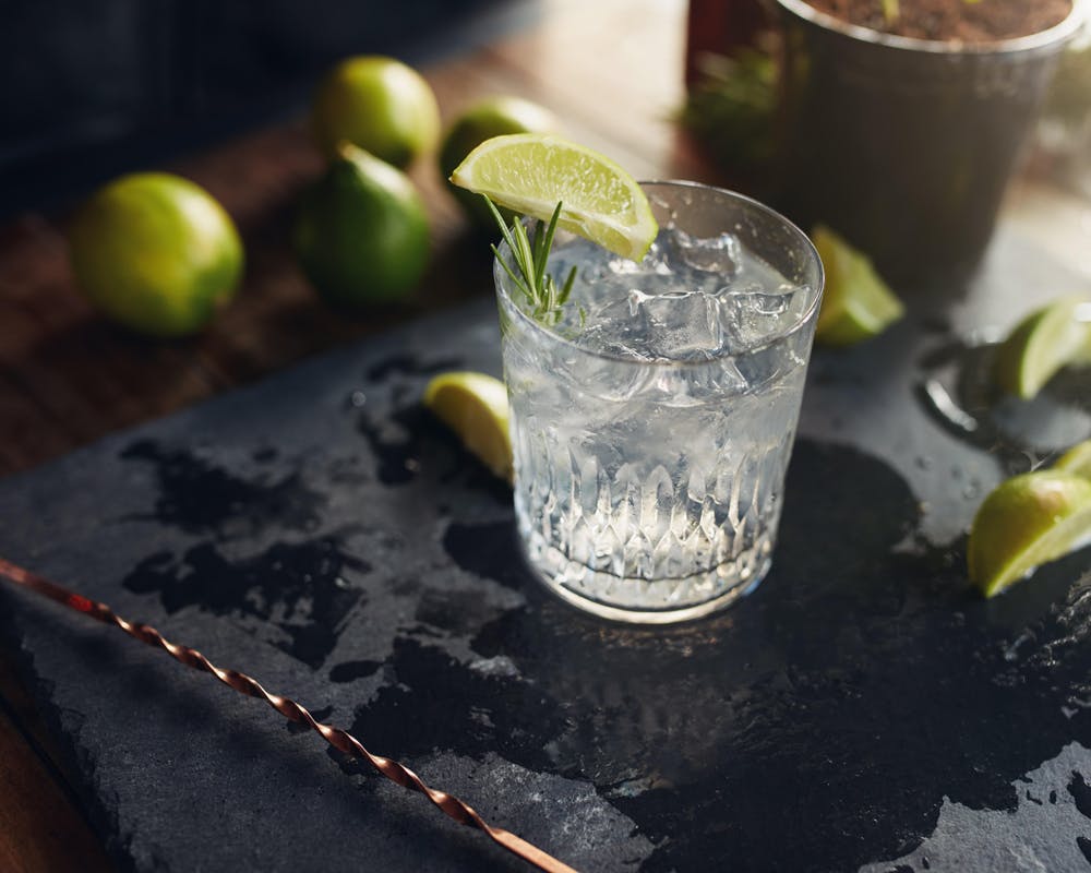 Gin og tonic