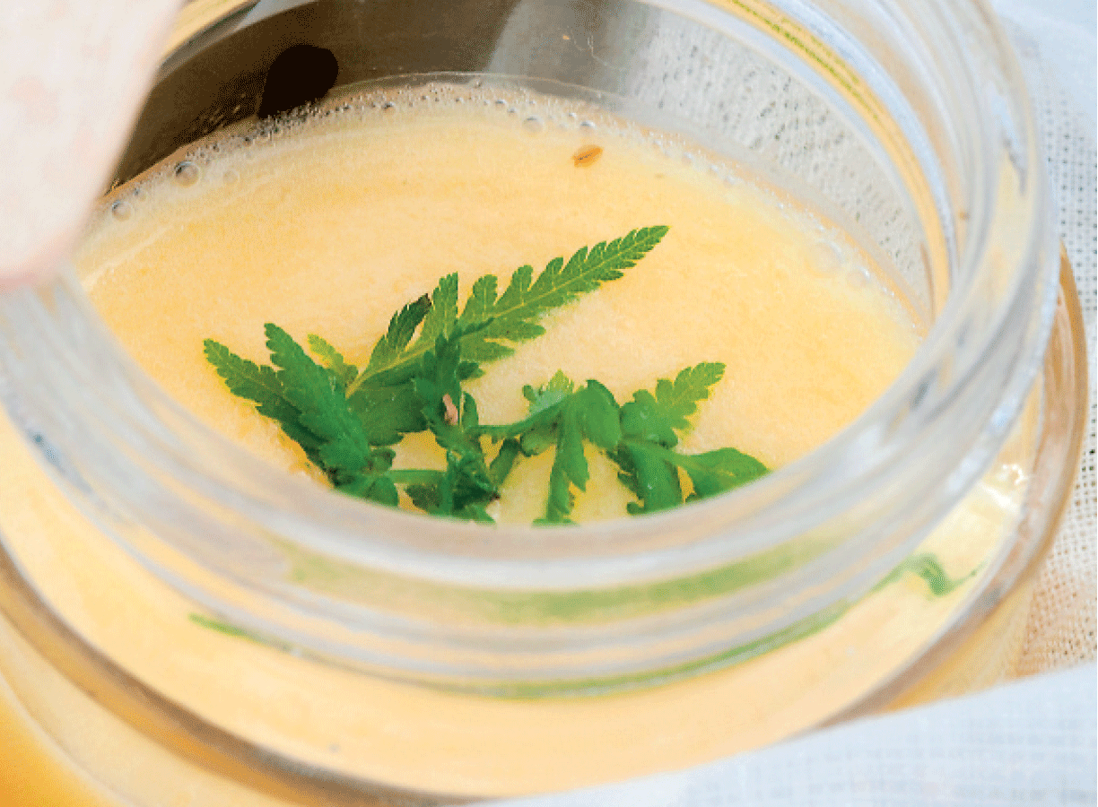 Let og lækker lemon curd | ISABELLAS