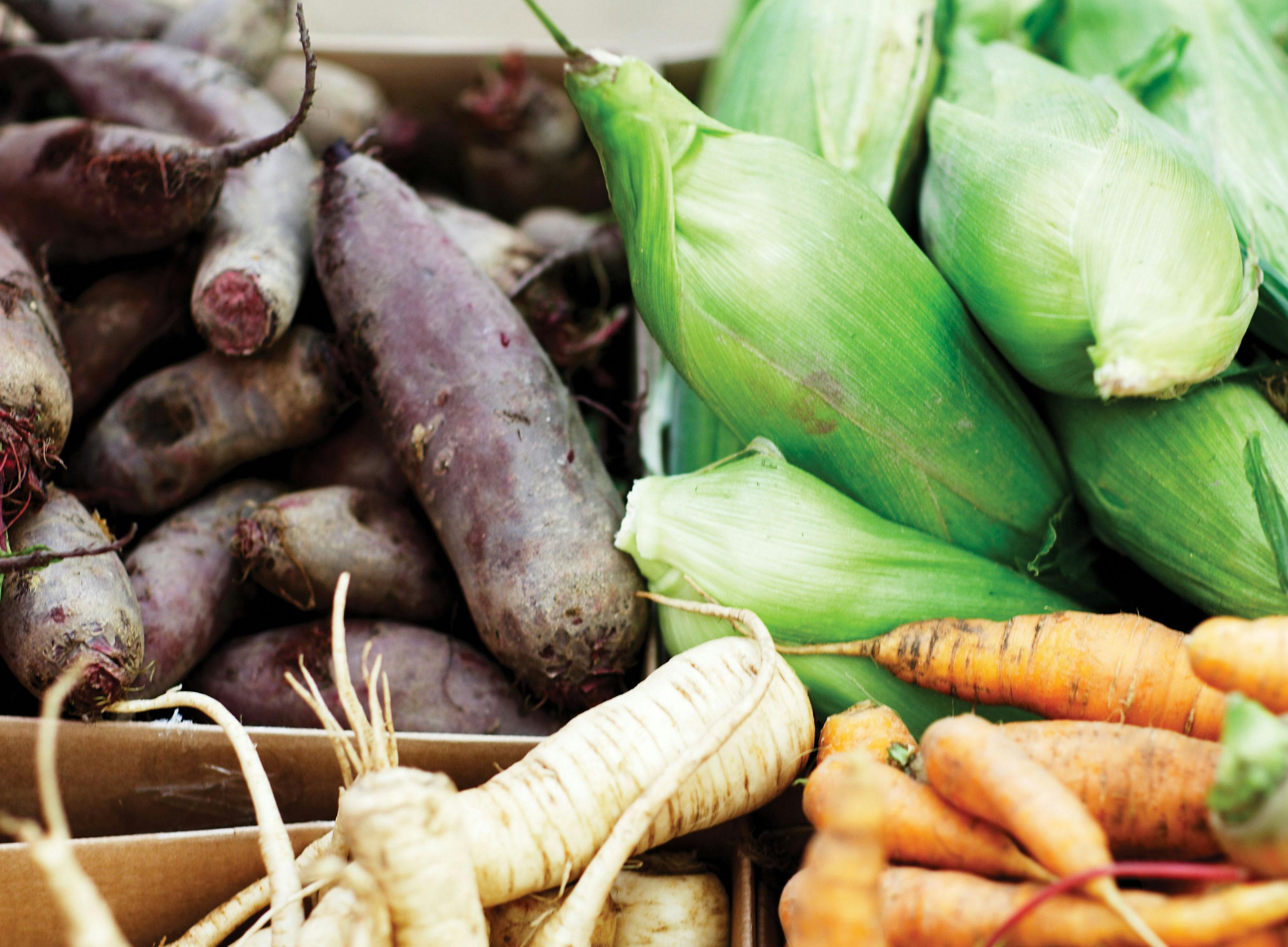 Muffins opskrifter – Nemme, sunde og lækre | ISABELLAS Muffins opskrifter – Nemme, sunde og lækre | ISABELLAS