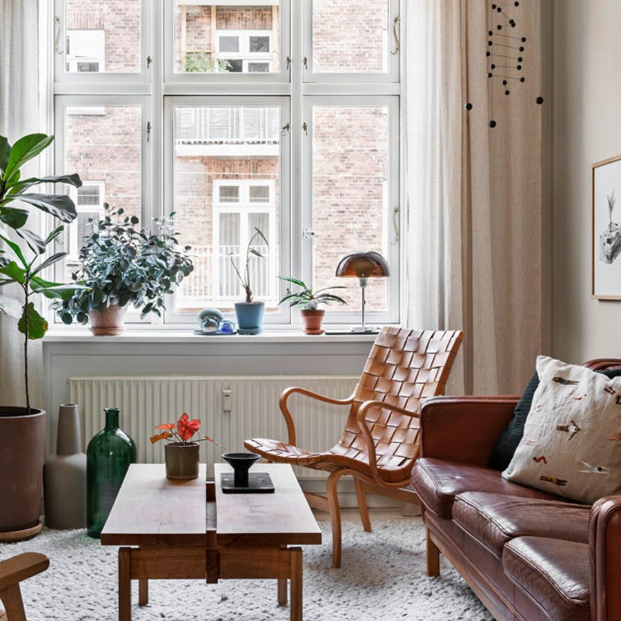 stueplanter_groenne_planter_store_til_stuen