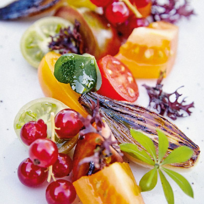Tomatsalat med ribs og tang